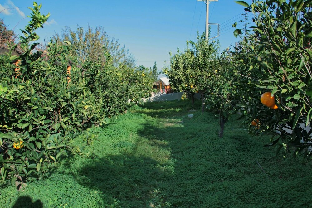 Фото Villa Metaxas