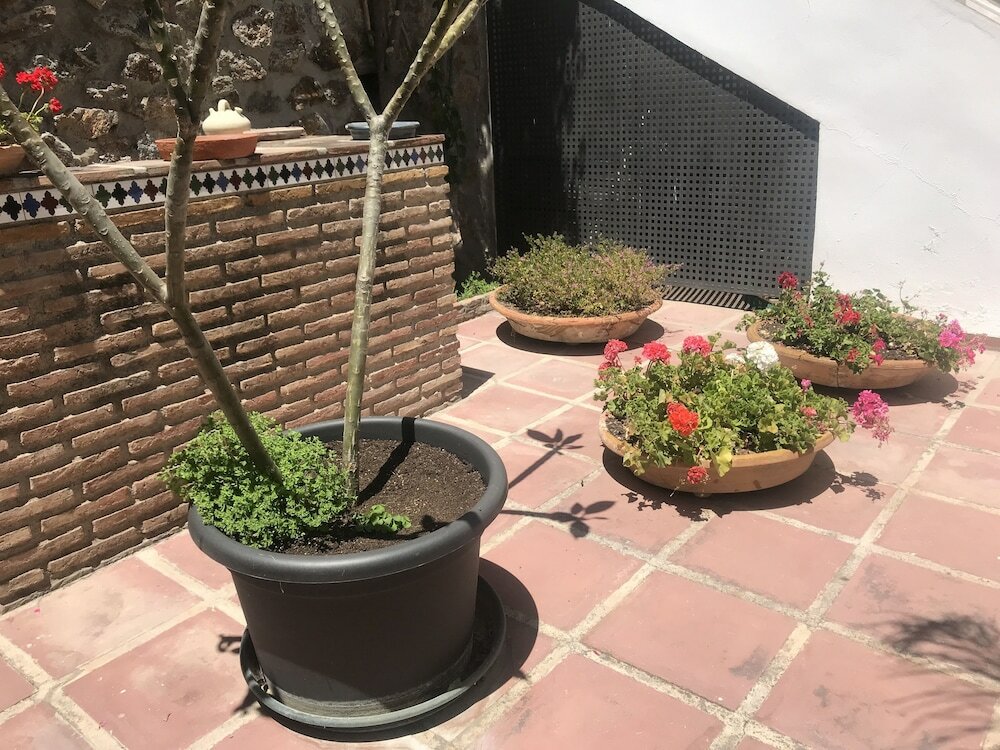 Фото Apartamentos Turisticos La Mundial