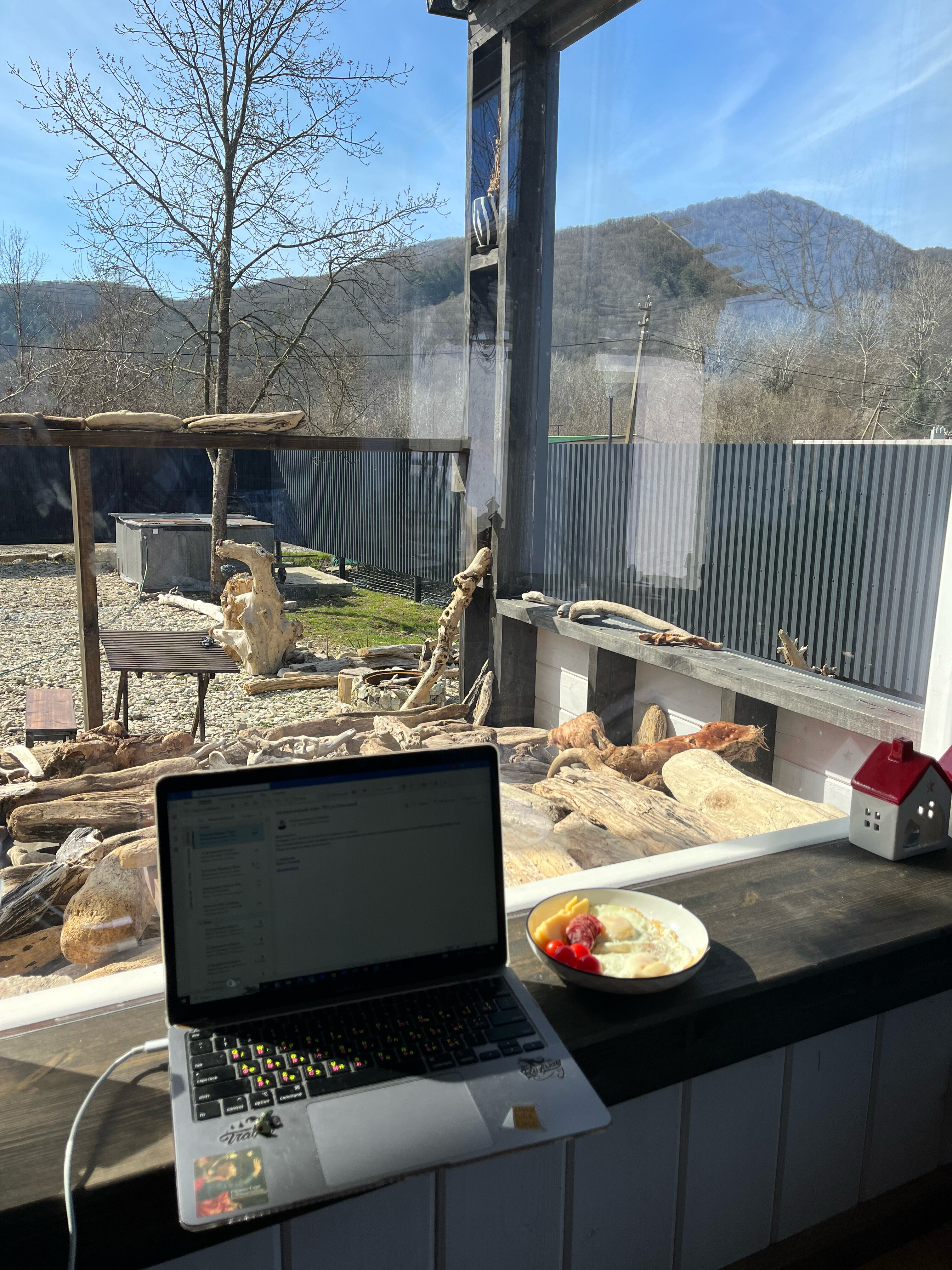 Фото Секвойя