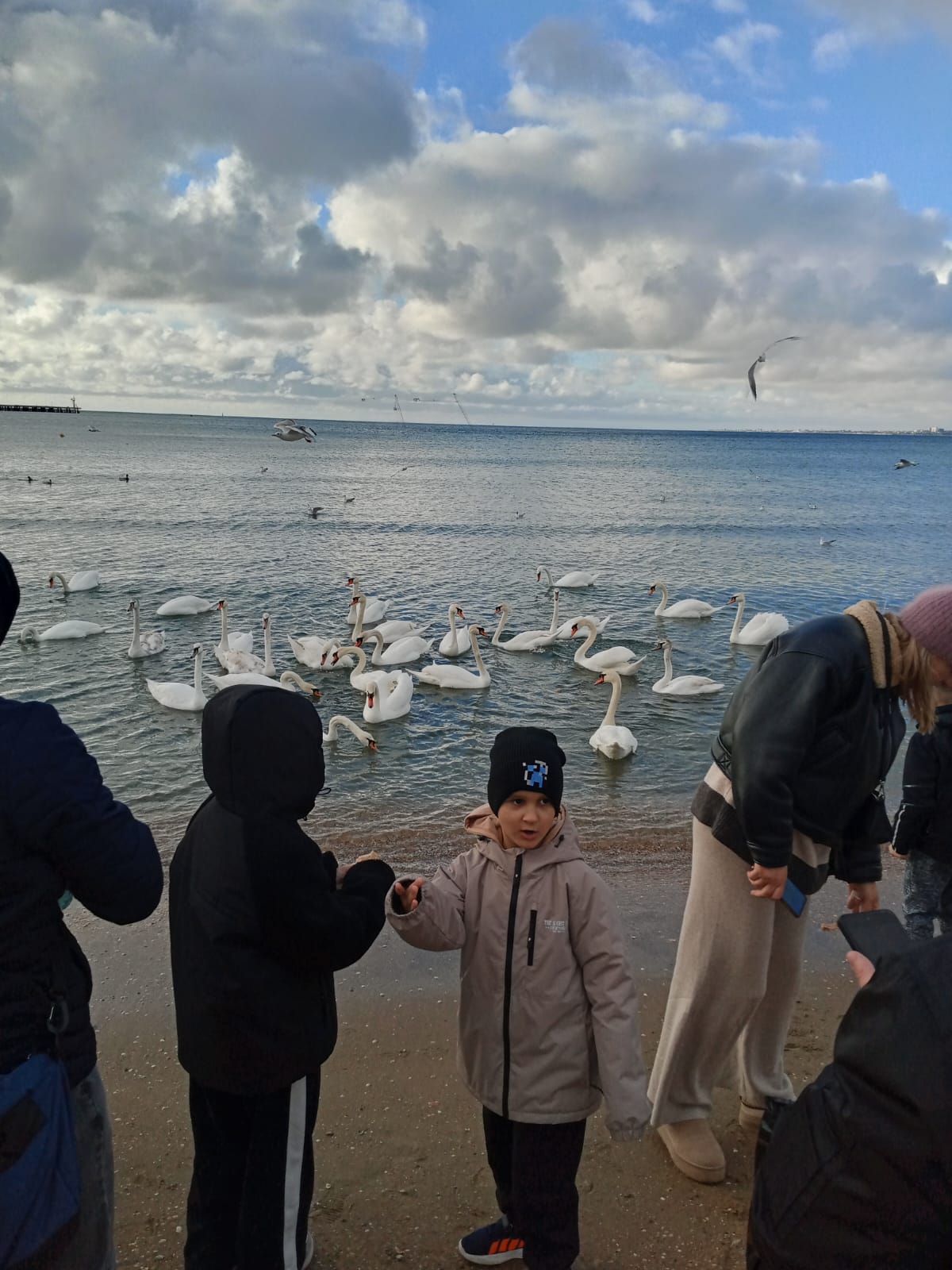 Фото Тихий центр