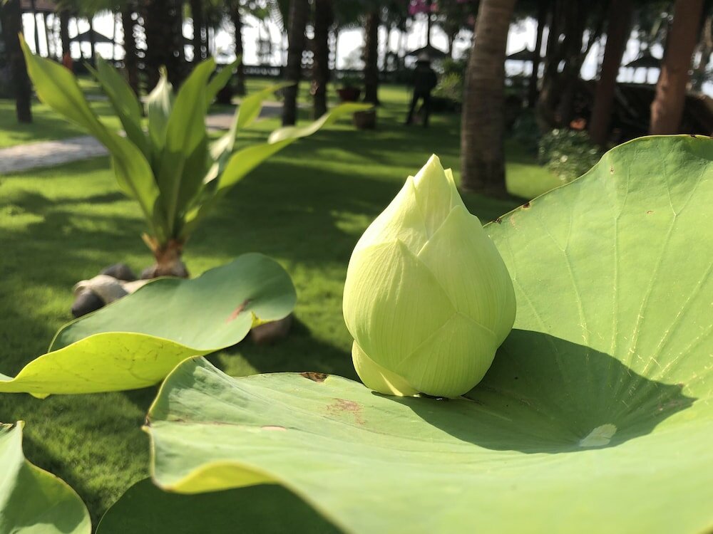 Фото Sunny Beach Resort