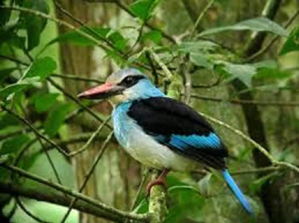 Фото Marrets International