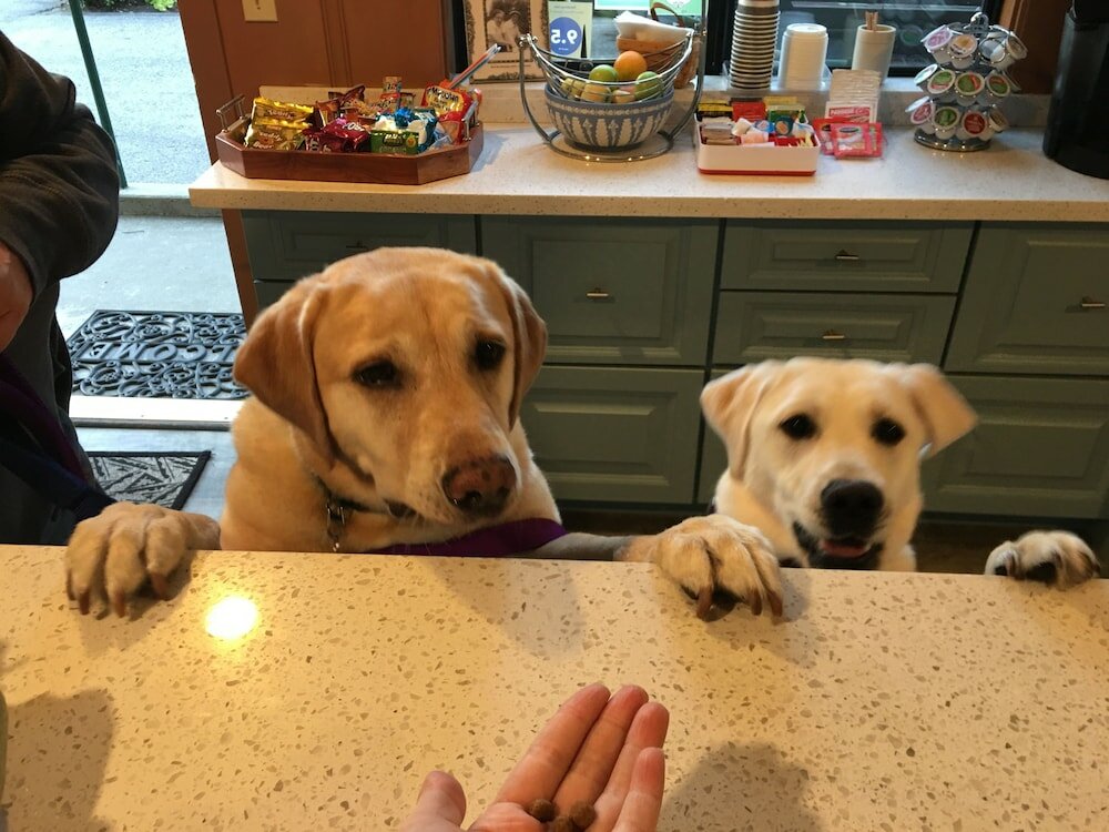 Фото Andril Fireplace Cottages