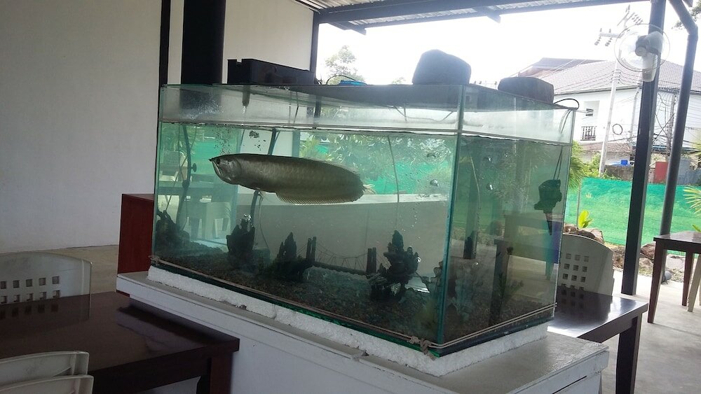 Фото Gypsy Bungalow