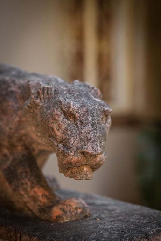 Фото The Lions Guesthouse