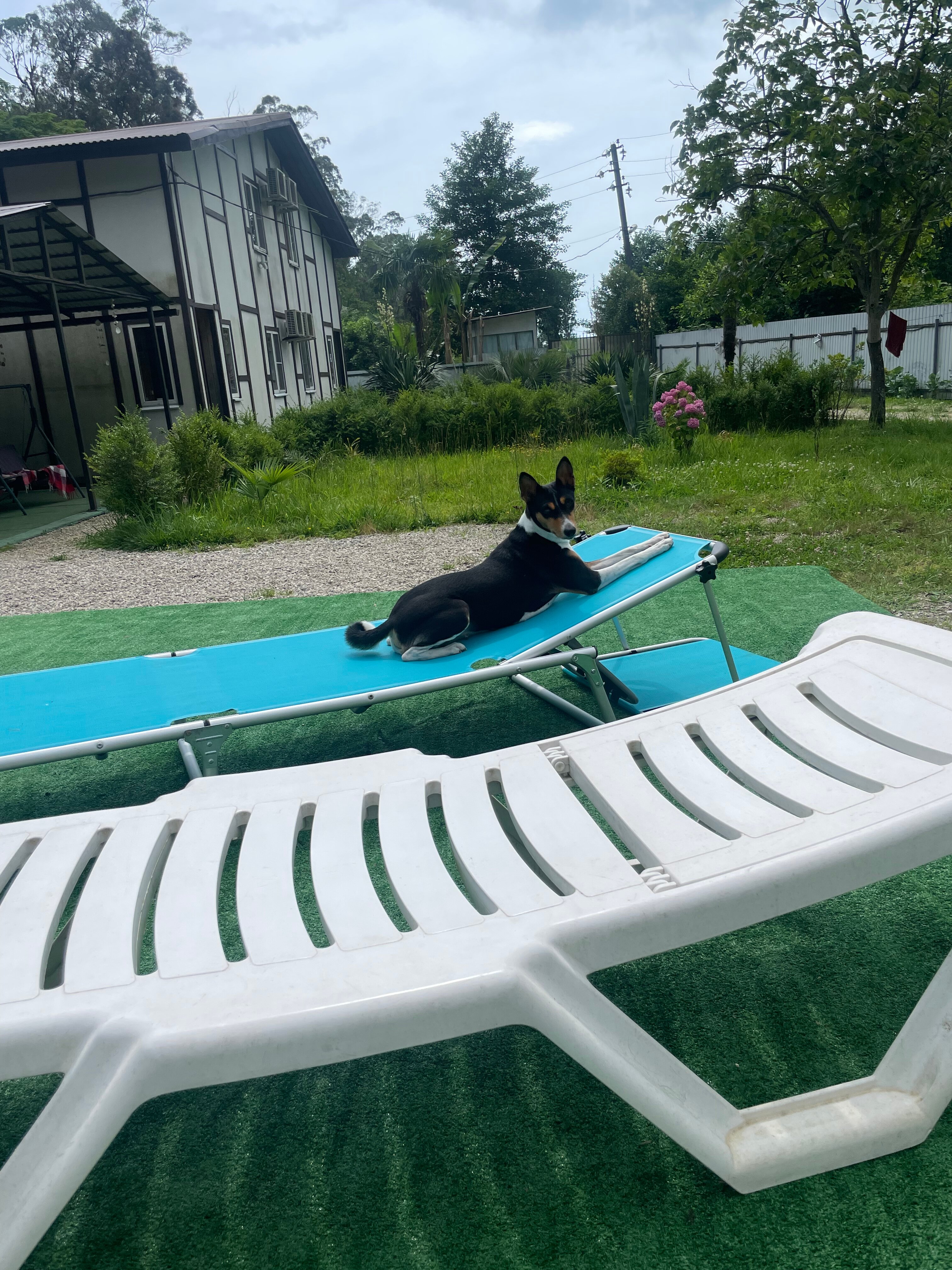 Фото отеля 5