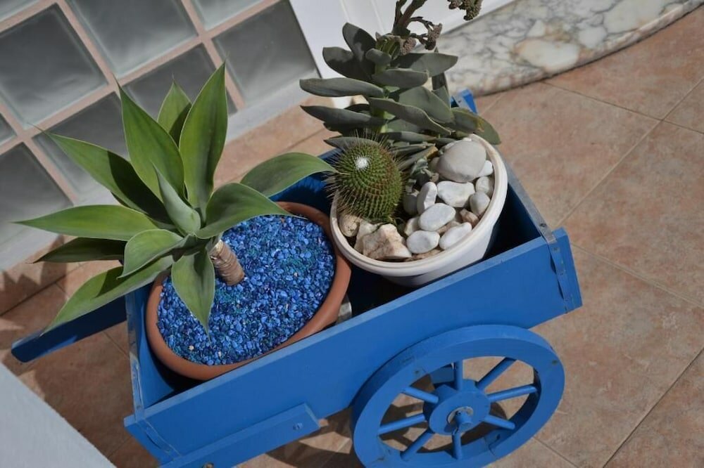 Фото B&b Villa Rosanna