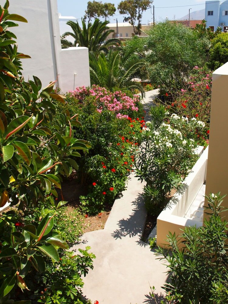 Фото Albatros Hotel