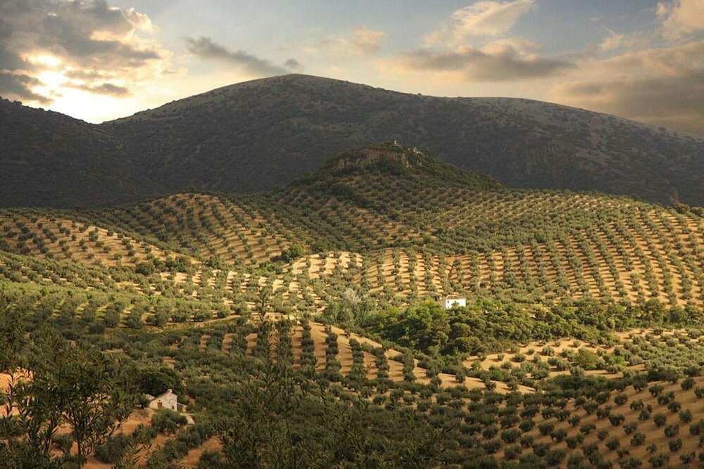 Фото Hospederia La Era