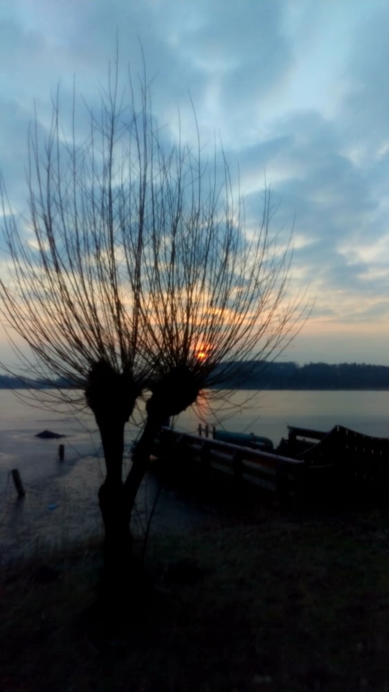 Фото Hotel Nordischer Hof