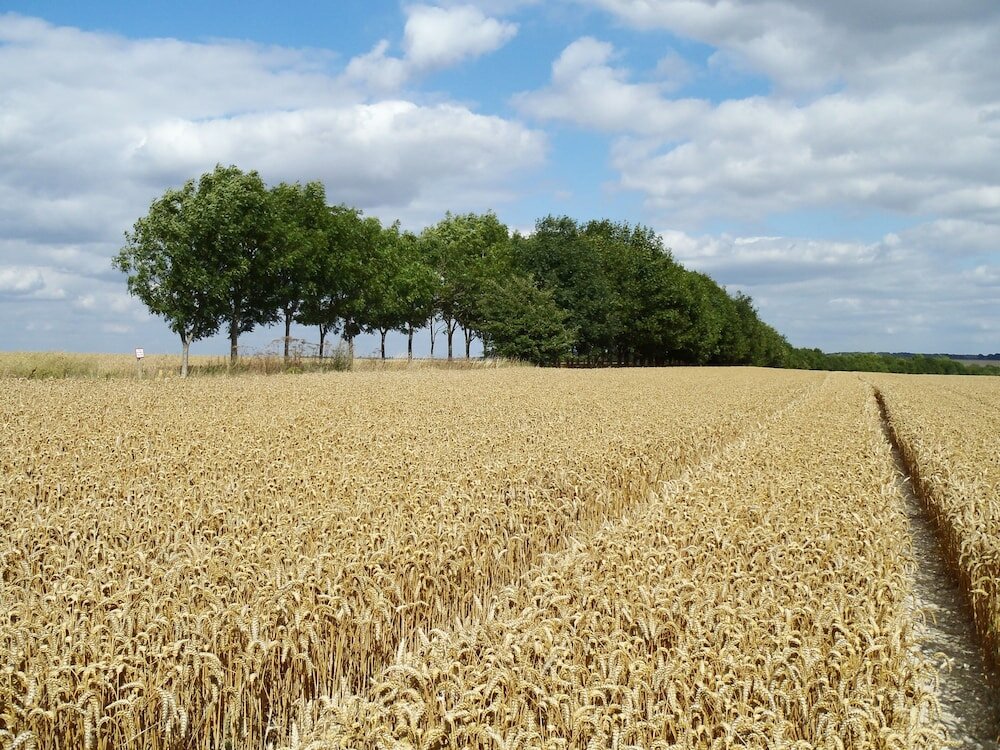 Фото Manor Farm B & B