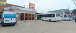 Avtostantsiya (stanitsa Severskaya, Bazarnaya ulitsa, 8), bus station