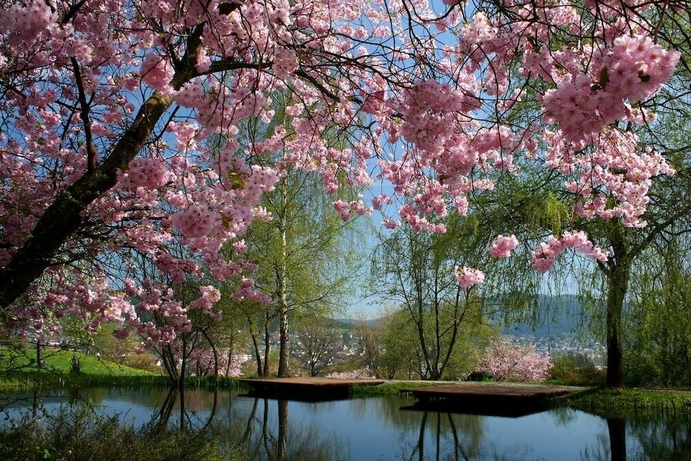 Фото Hotel Am Fang