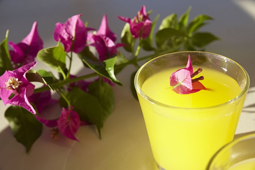 Фото Elea Terra Hotel