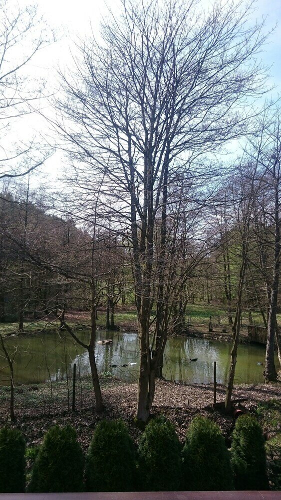 Фото Ferienwohnung am Ententeich