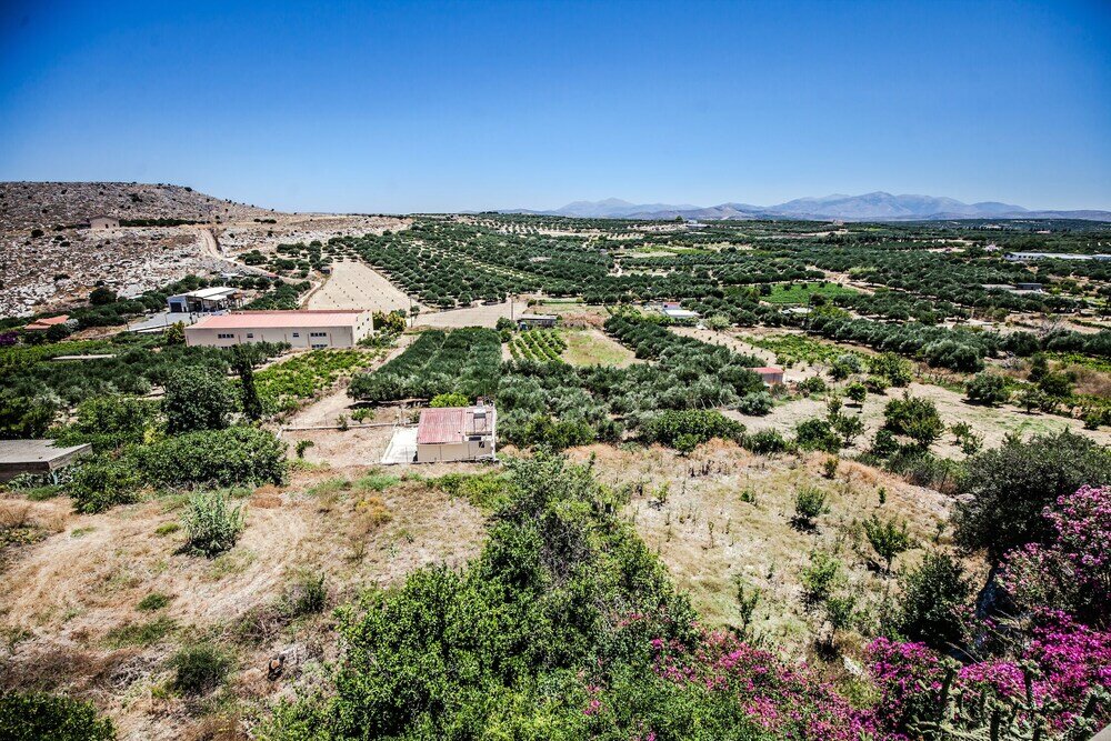 Фото Elia Woodstone Houses