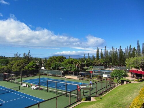 Гостиница Kapalua Bay Villa 32g2 Ocean View