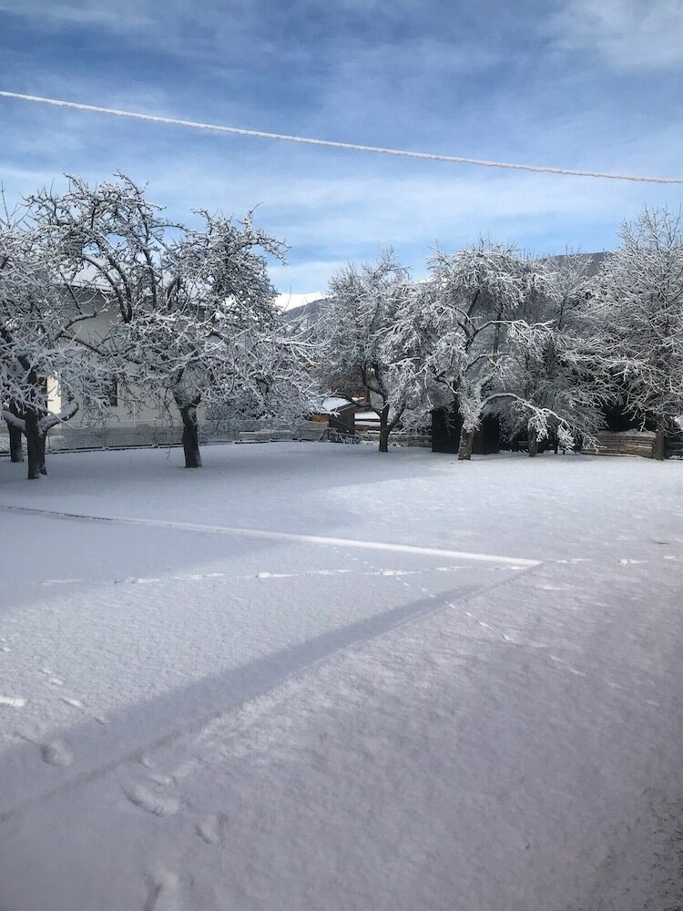 Фото Landhaus Elto