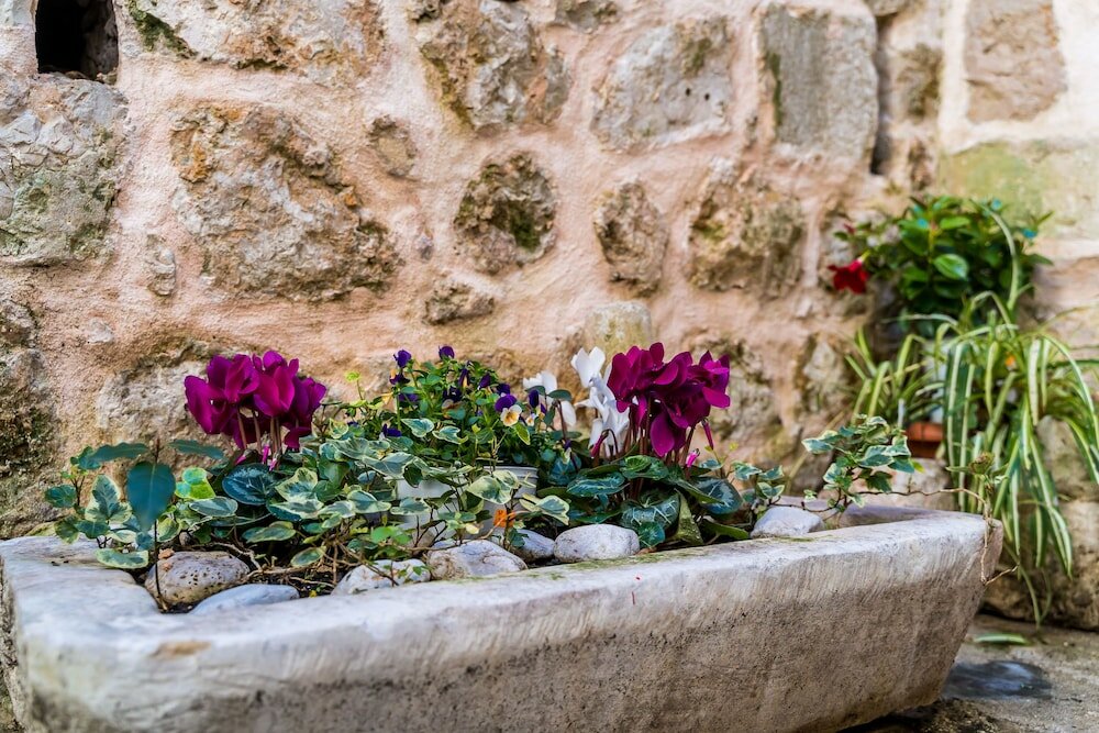 Фото Apartment Srđ