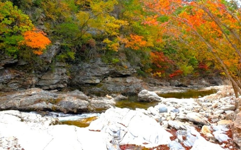 Фото Jeongseon Daon Pension