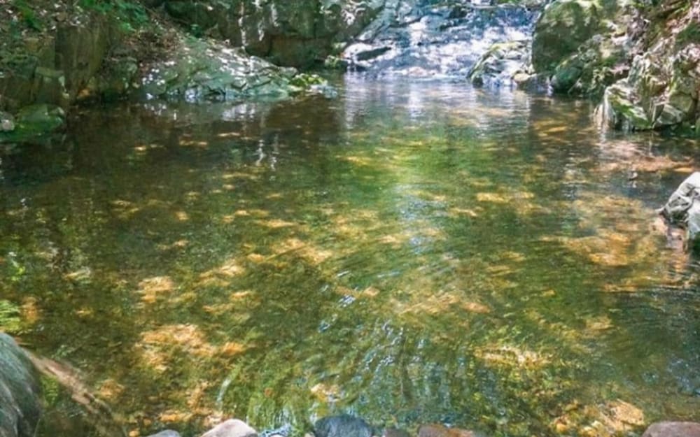 Фото Ulsan Daeunsan Pension