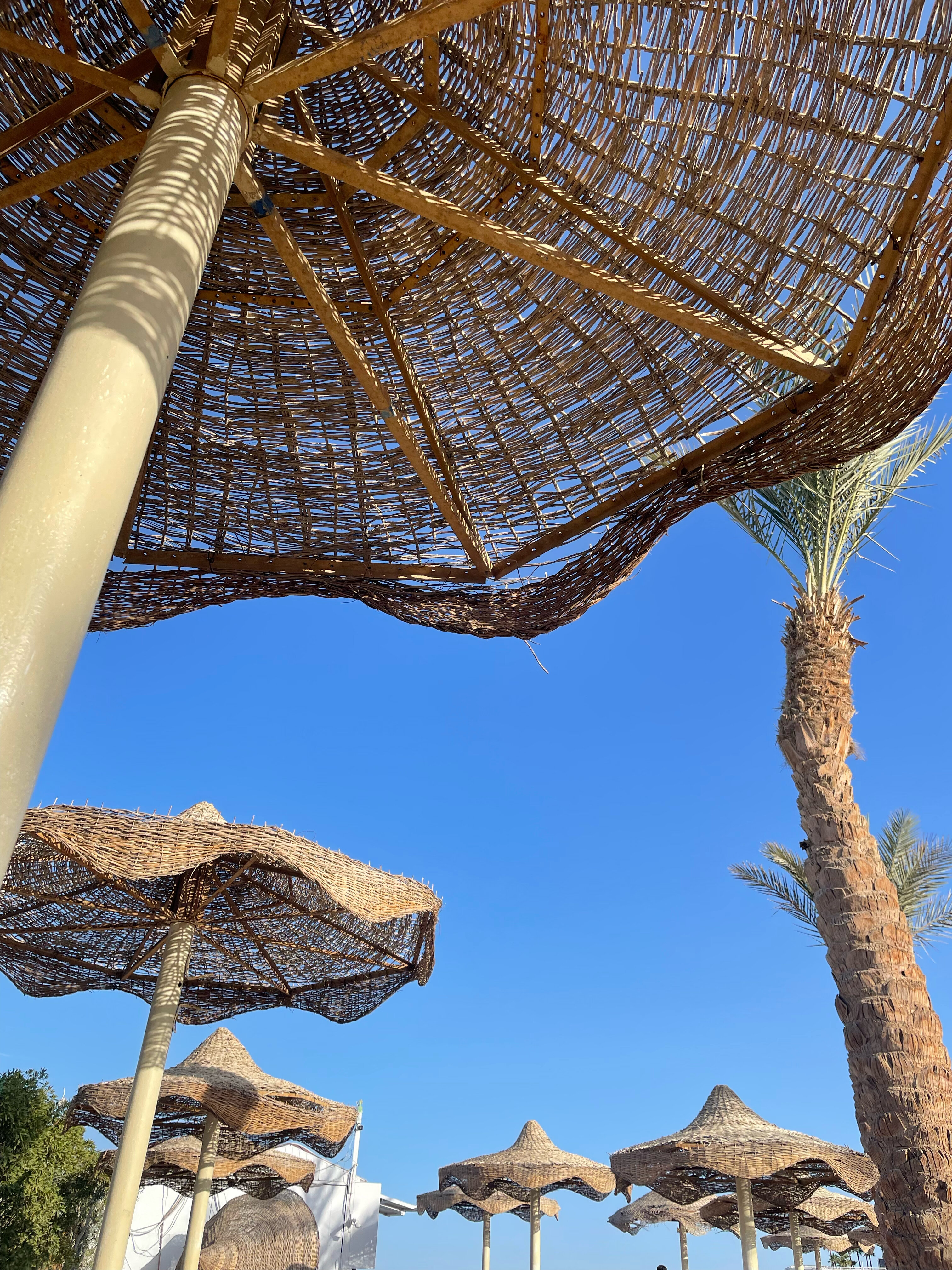 Фото Cataract Sharm Resort