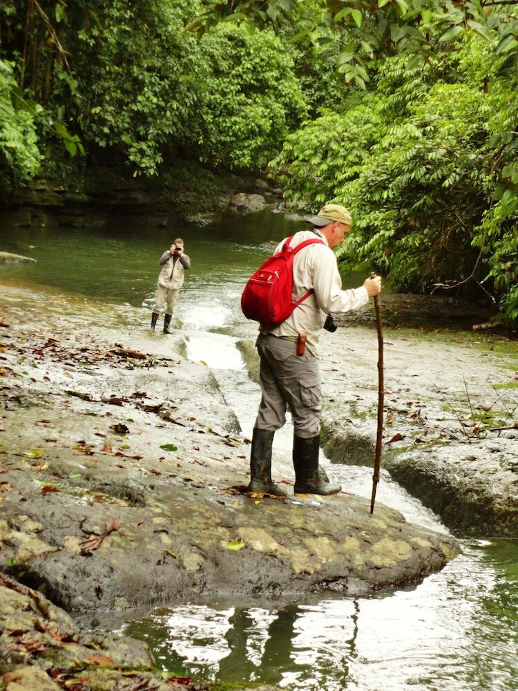 Фото Suchipakari Jungle Lodge
