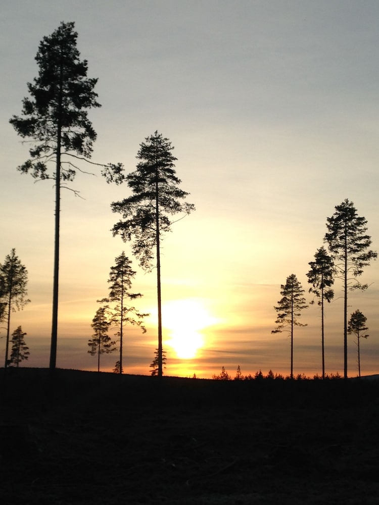 Фото Thon Partner Elgstua