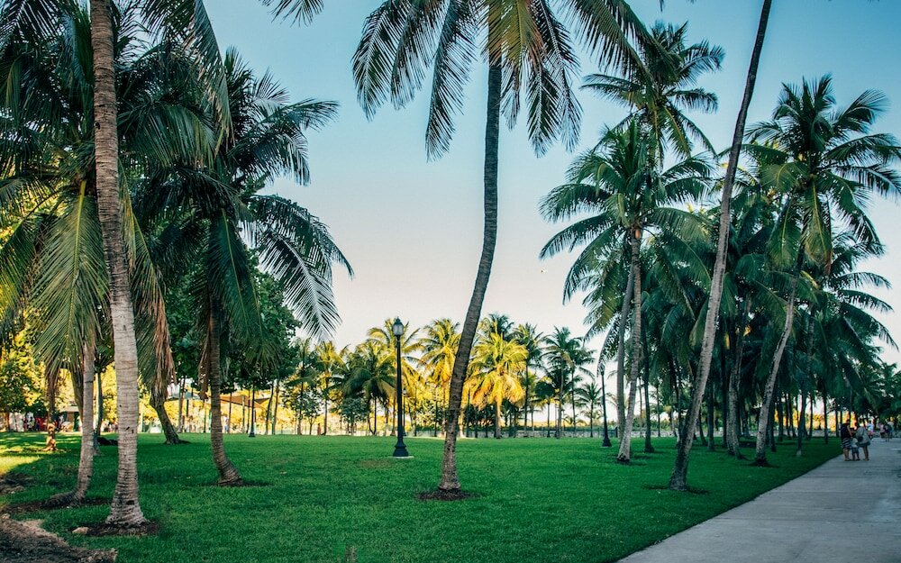 Фото Century Hotel