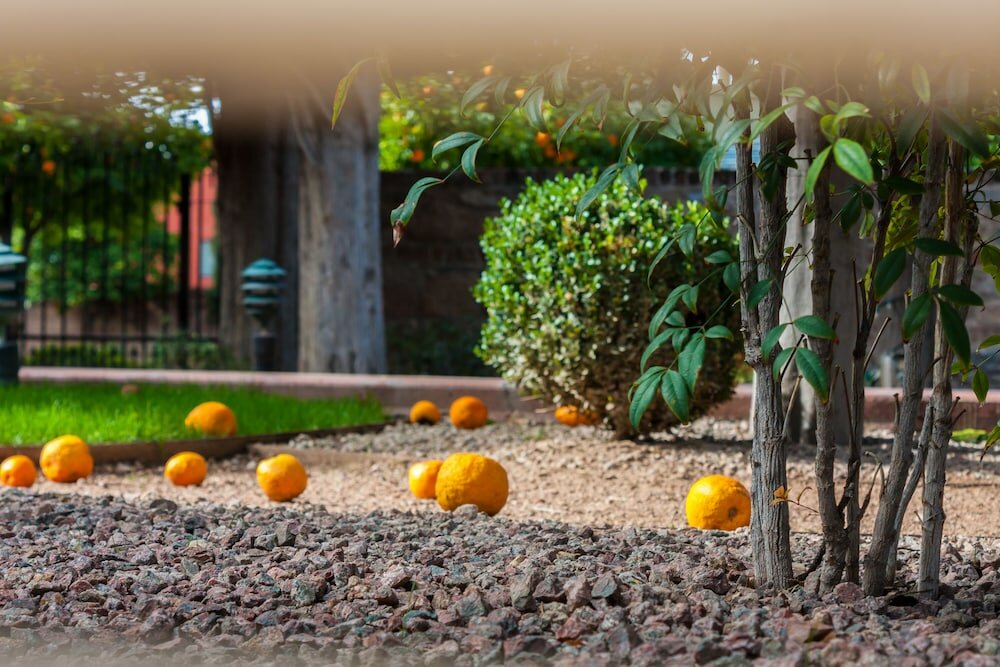 Фото Embassy Suites by Hilton Tucson East