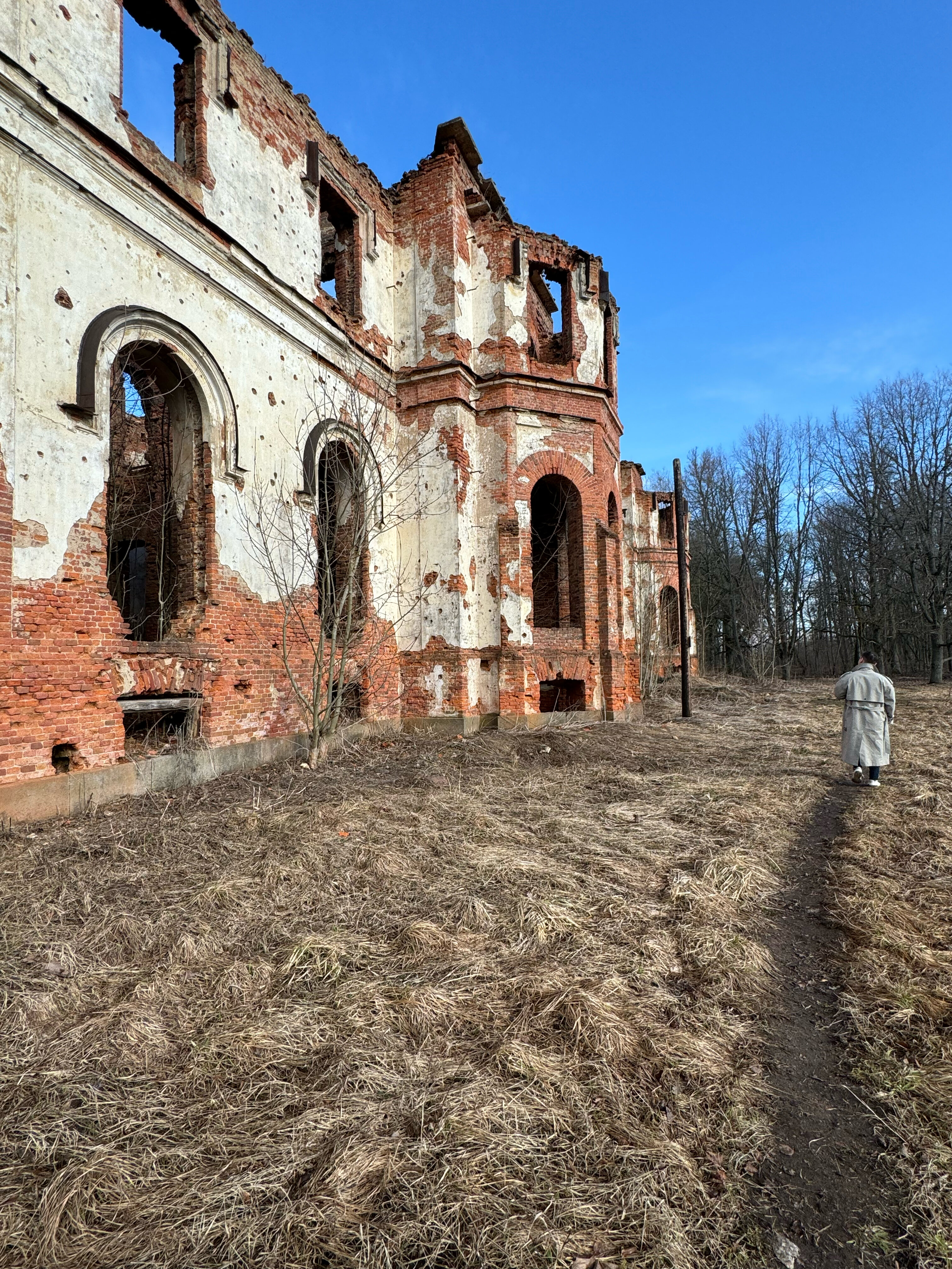 Фото Мишка на прудах