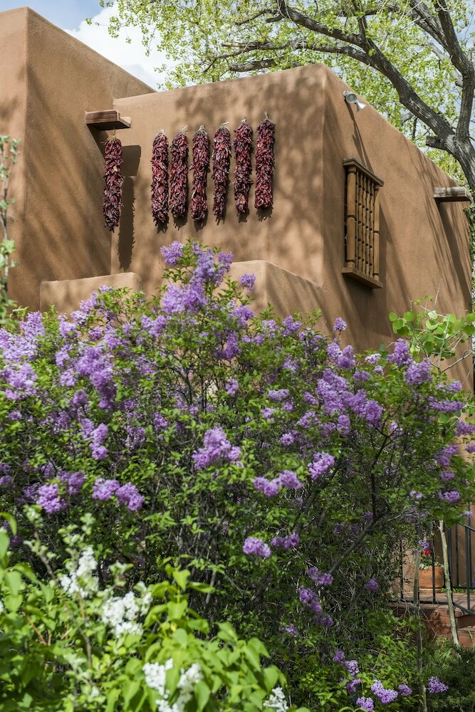 Фото Inn on the Alameda