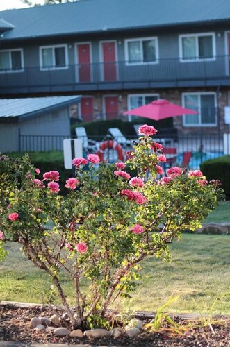 Гостиница Days Inn by Wyndham Show Low в Шоу-Лоу