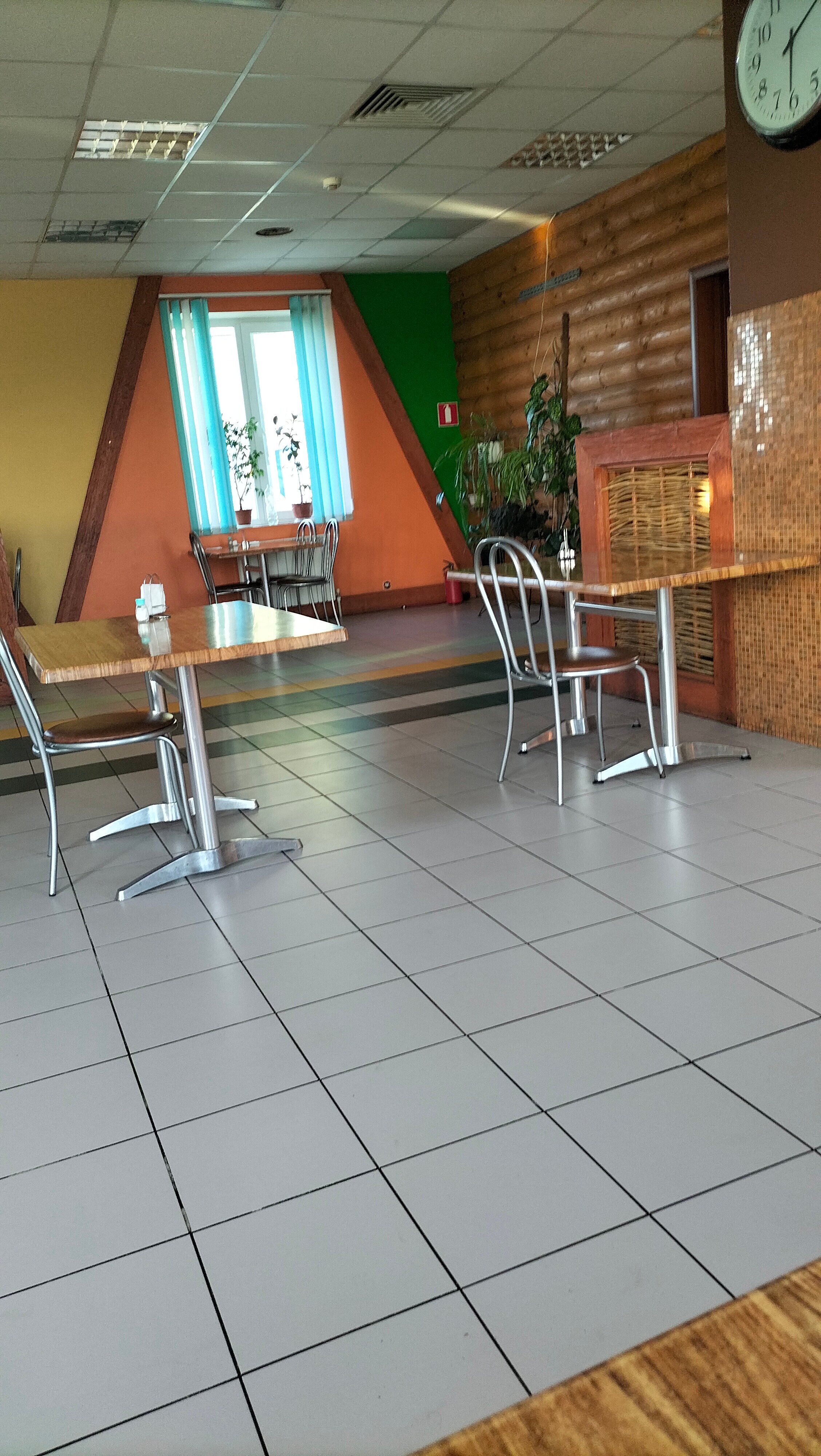 Фото Дубрава