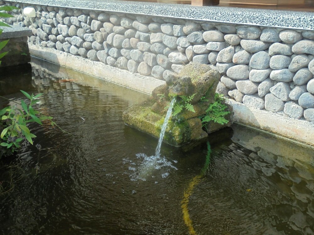 Фото 194778772671