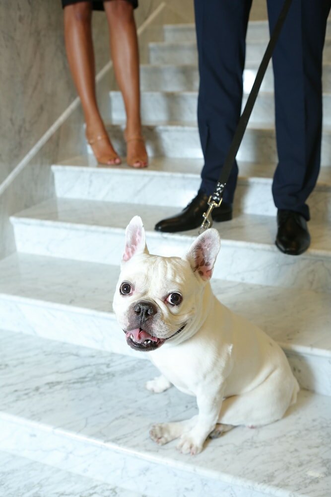 Фото Zepter Hotel