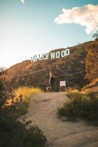 Гостиница Montrose at Beverly Hills