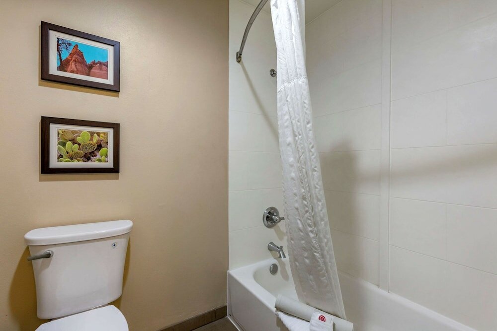 Фото Comfort Inn & Suites Los Alamos
