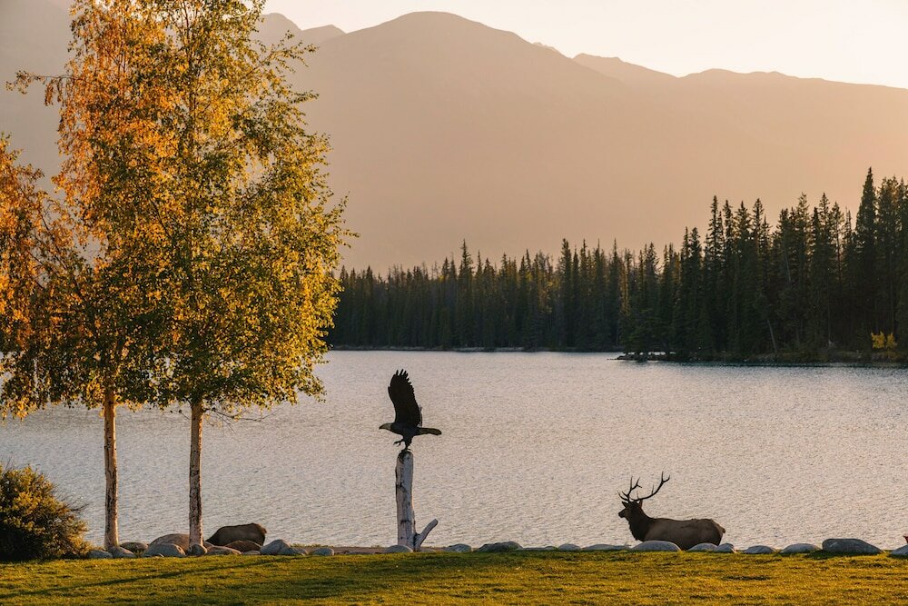Фото Fairmont Jasper Park Lodge