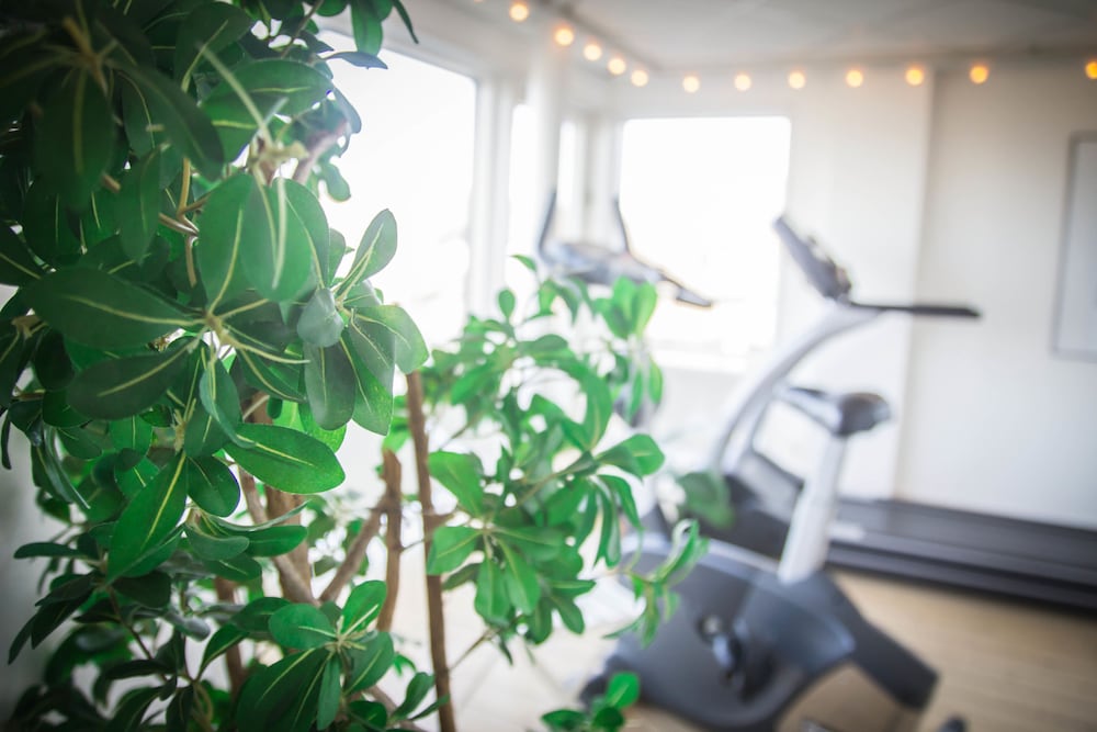 Фото First Hotel Jönköping