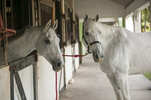 Гостиница Half Moon