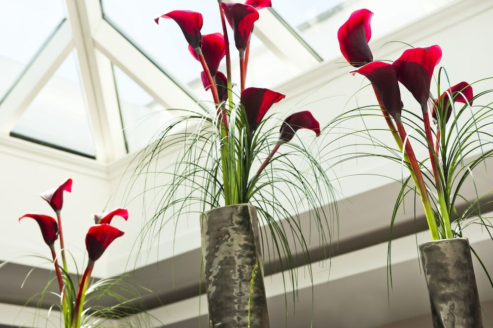 Фото Buxted Park Hotel