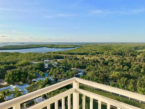 Гостиница Hyatt Regency Coconut Point Resort and Spa в Бонита Спрингс
