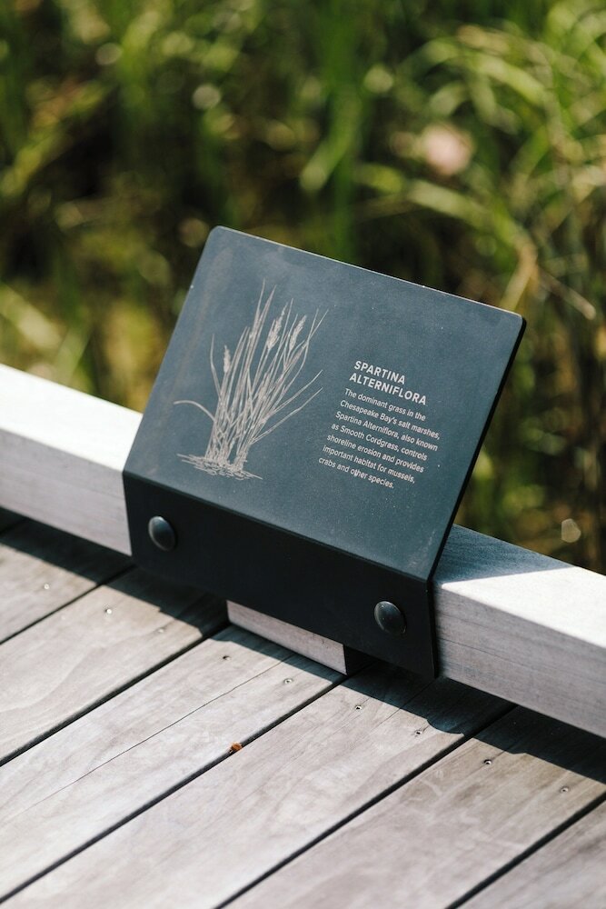 Фото The Tides Inn