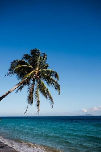 Гостиница Minshuku Kcs Hotel and Restaurant в Провинции Западный Миндоро