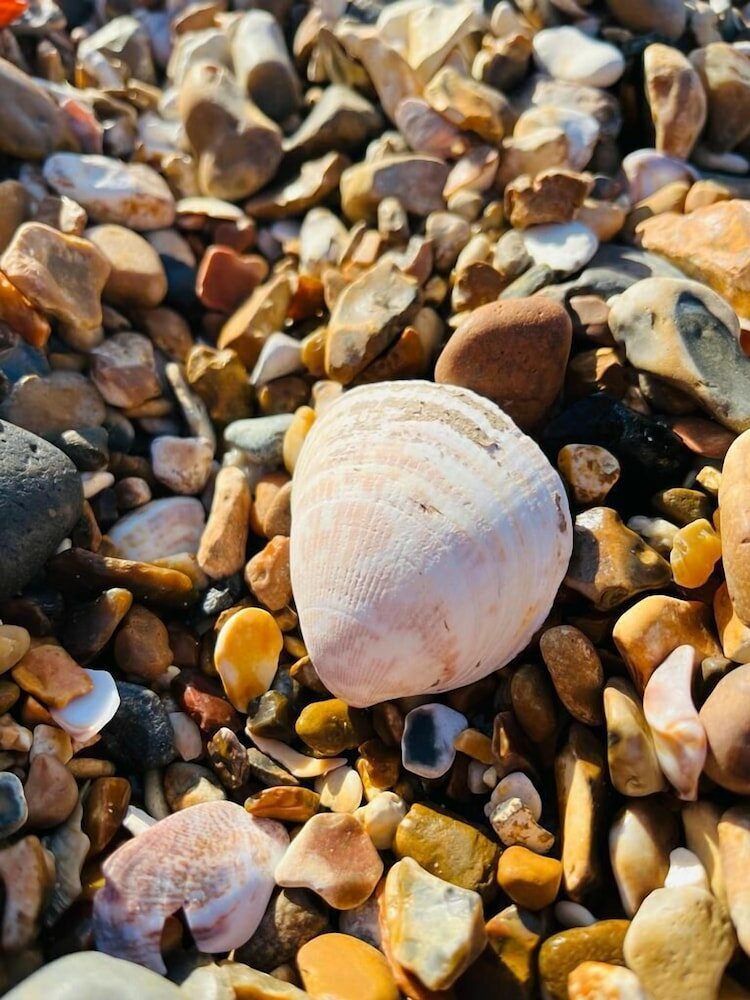 Фото Seafront 3 Bedroom Apartment