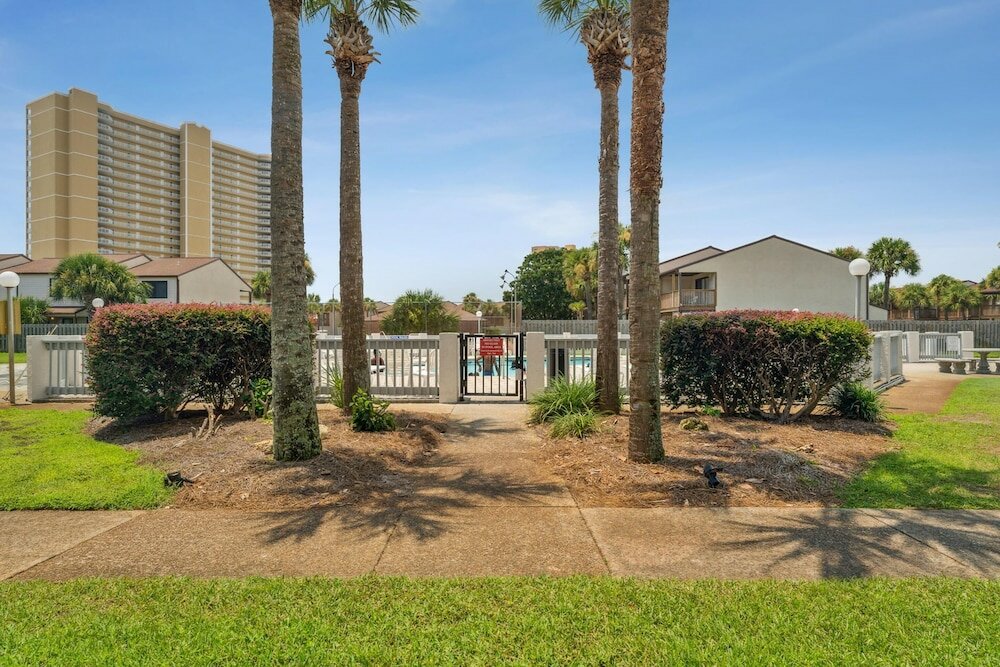 Фото Endless Summer D6