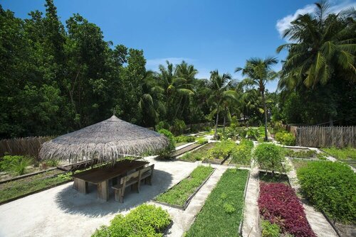 Гостиница Gili Lankanfushi Maldives