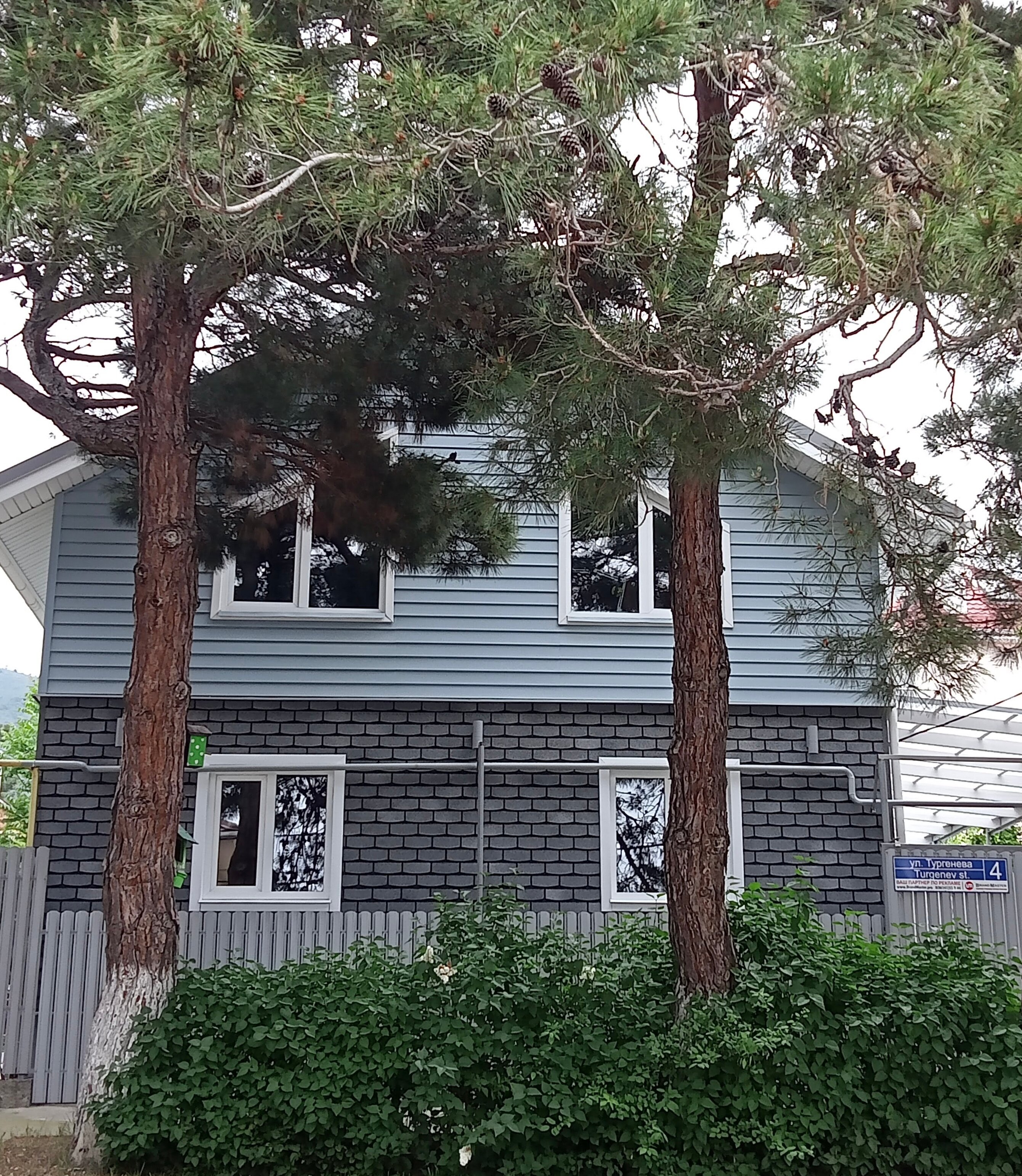 Фото  Краски