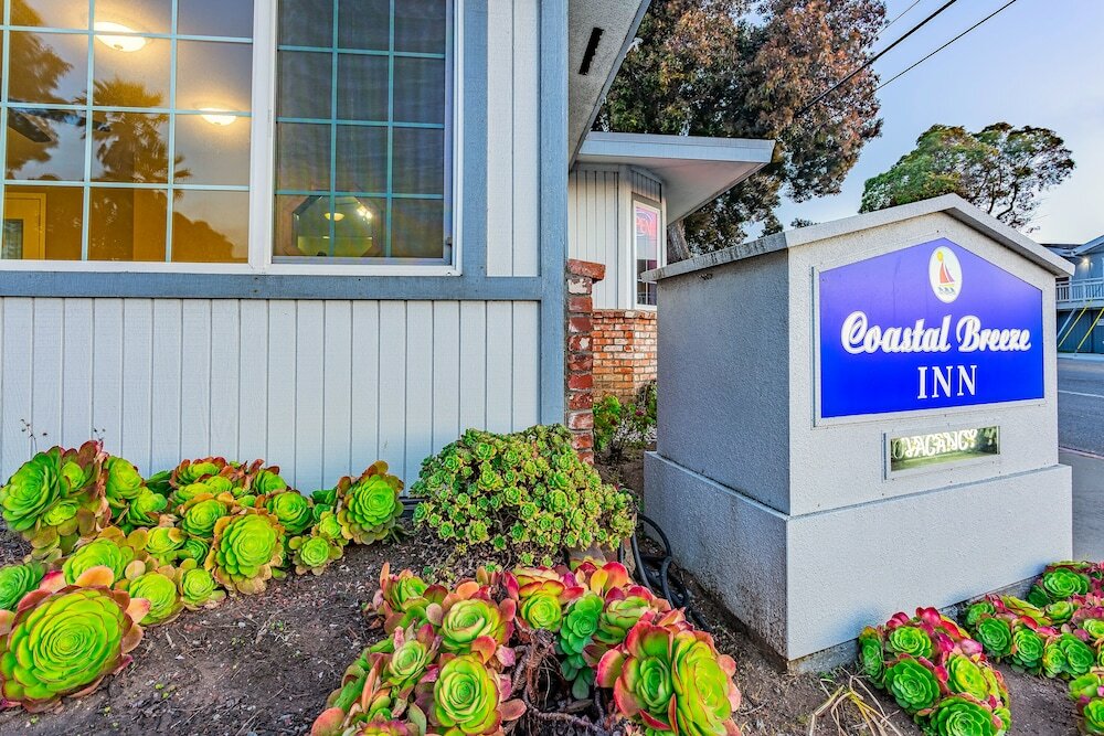 Фото Coastal Breeze Inn